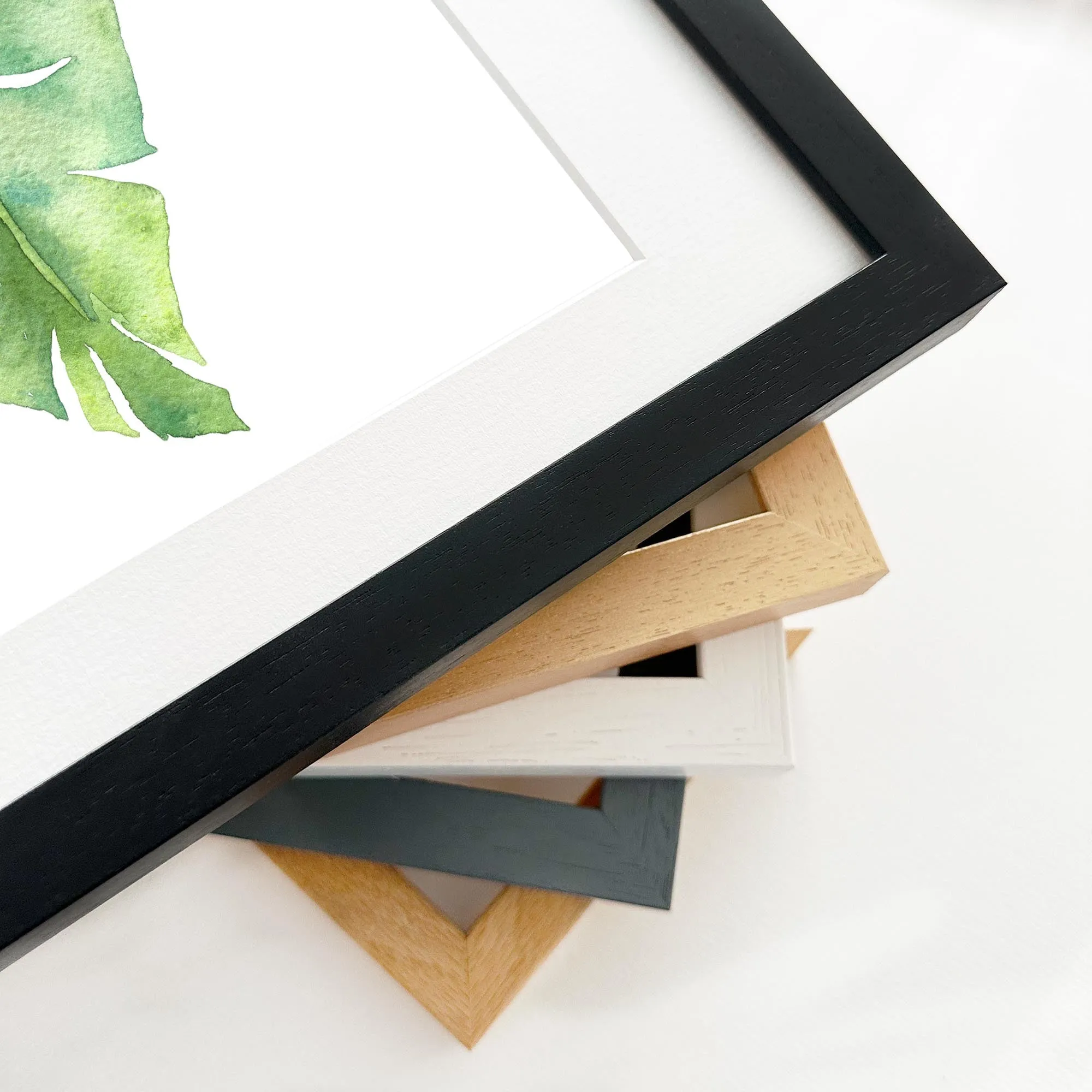 Botanical Watercolour Leaf Framed Art