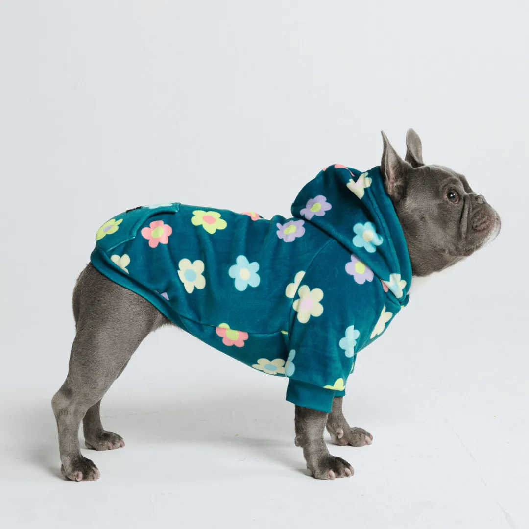 Dog Hoodie Prints