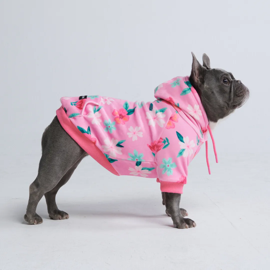 Dog Hoodie Prints