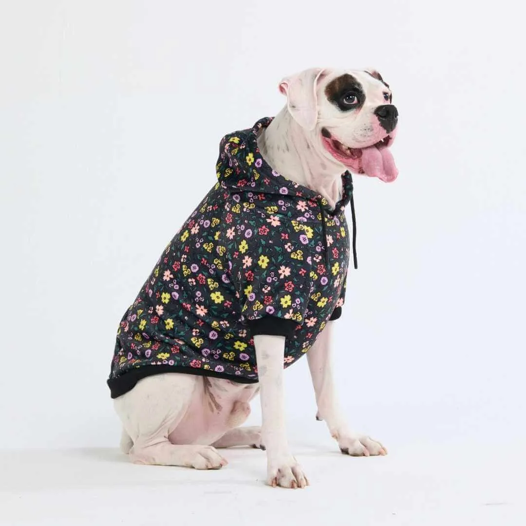 Dog Hoodie Prints