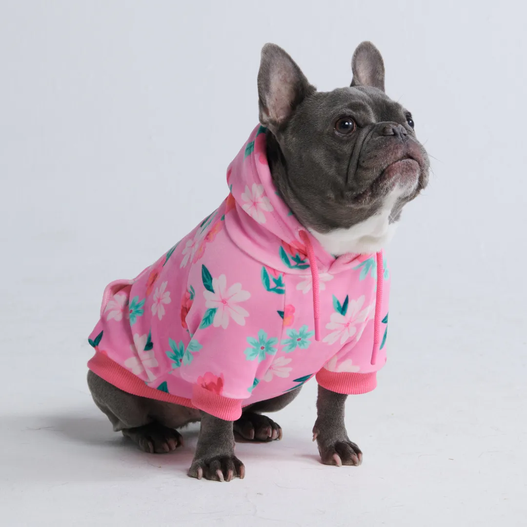 Dog Hoodie Prints