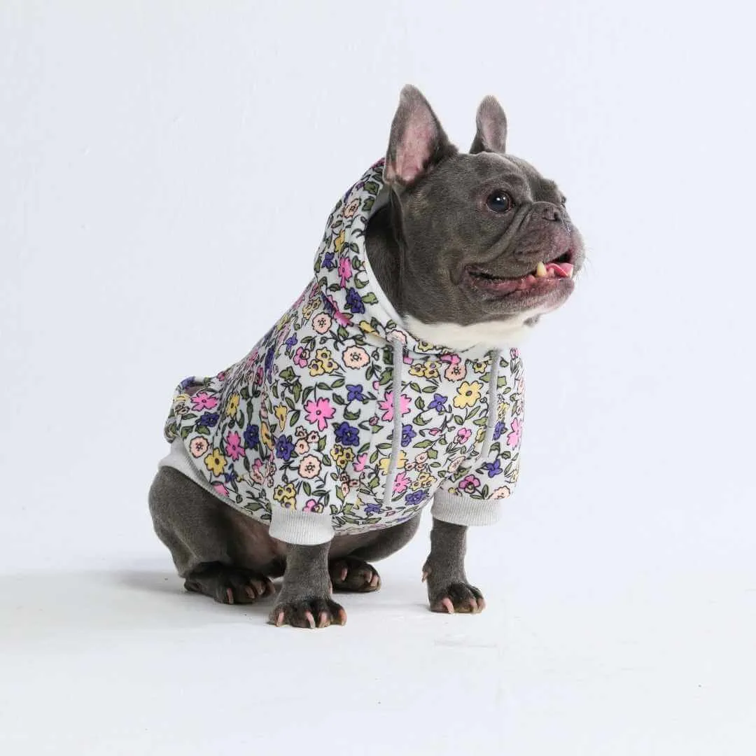 Dog Hoodie Prints