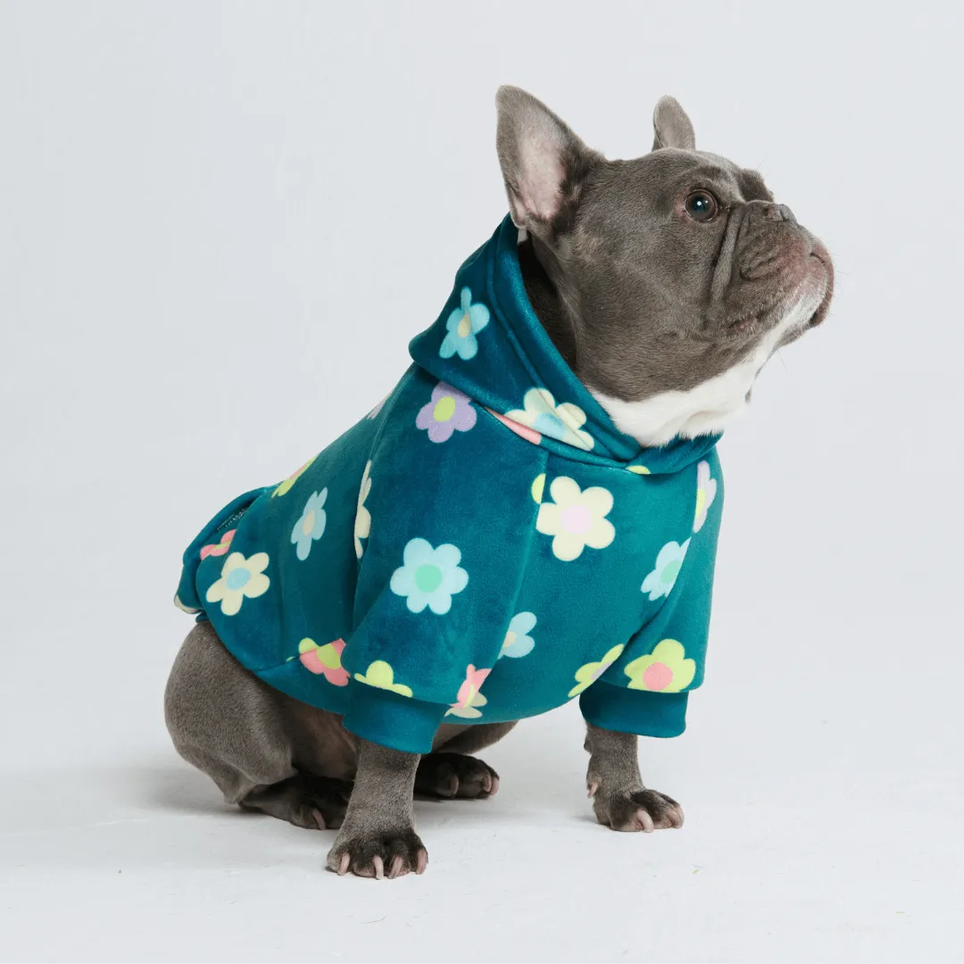 Dog Hoodie Prints