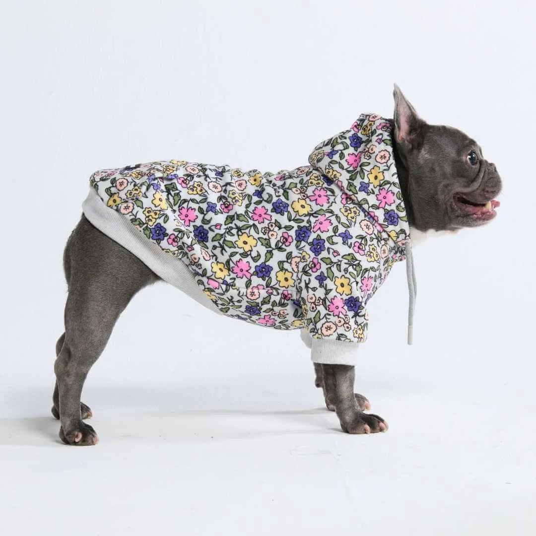 Dog Hoodie Prints