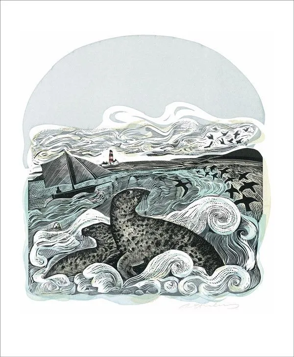 Gannets and Seal Song Notecard Set