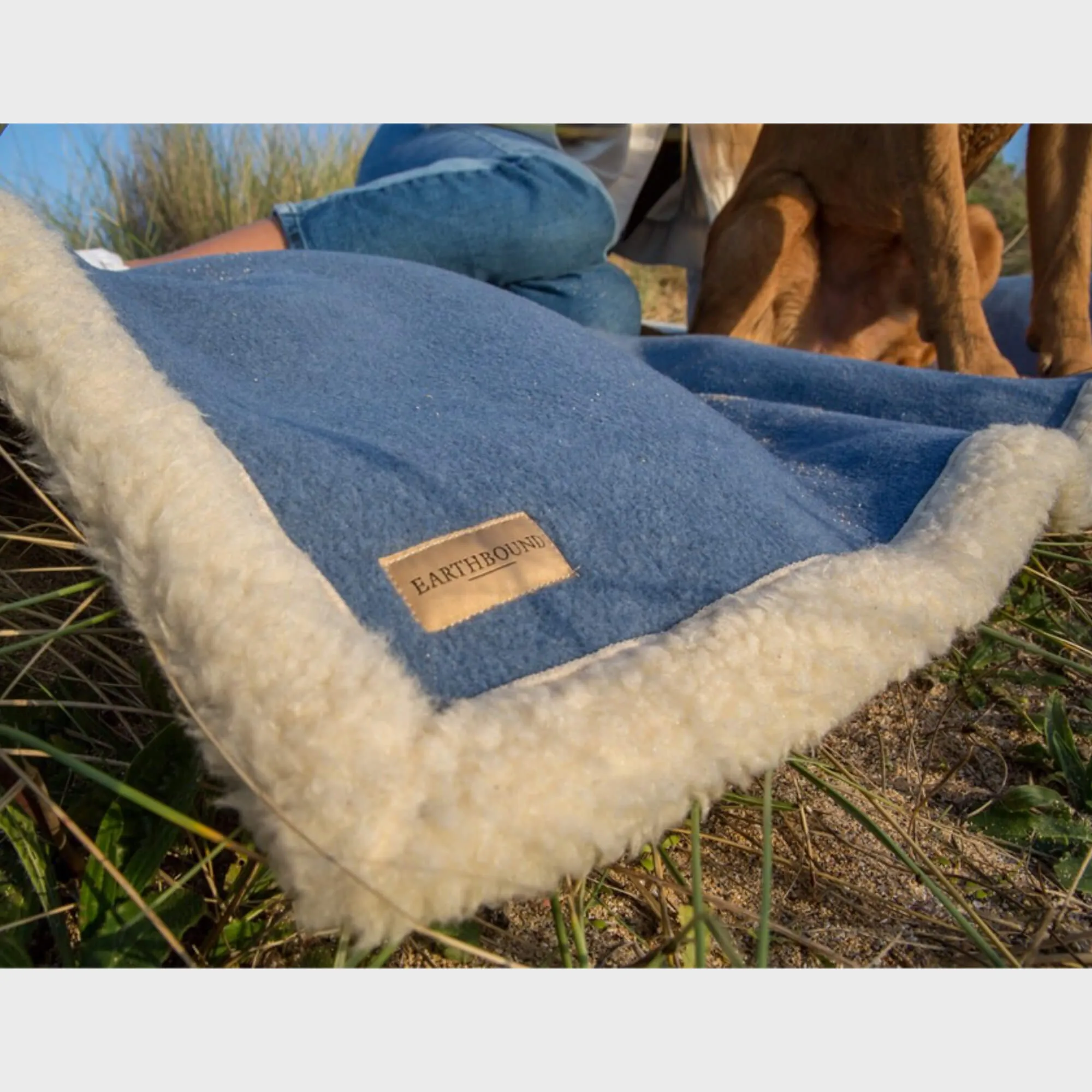 Sherpa Pet Blanket