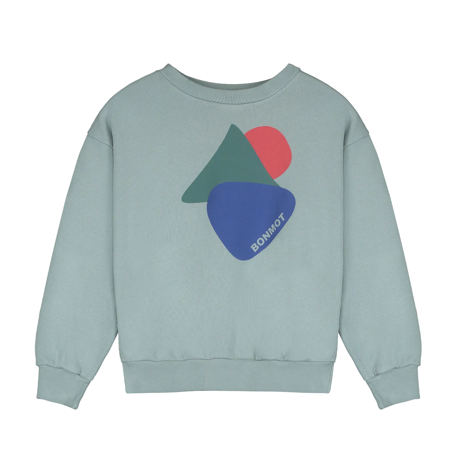 SW10-SWEATSHIRT MATHS  -Iceberg